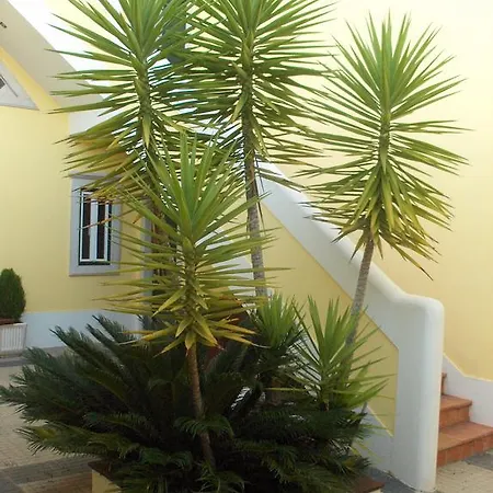 Casa rural Aqc - A Quinta Chama Caldas Da Rainha